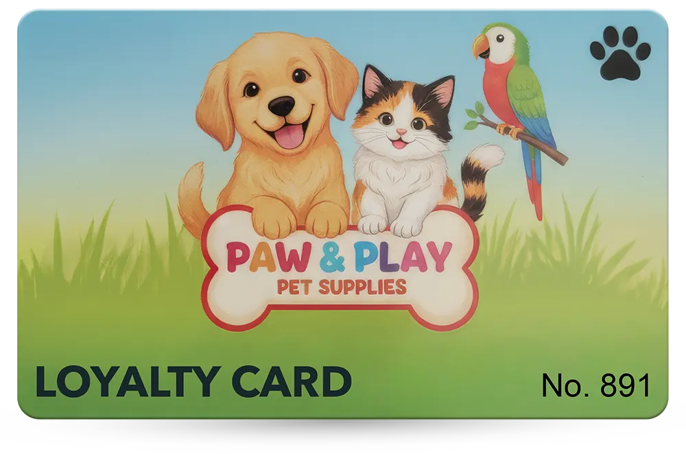Loyalty Card Example 49